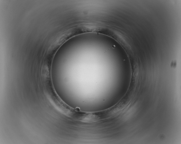 X0000112460459200908171207