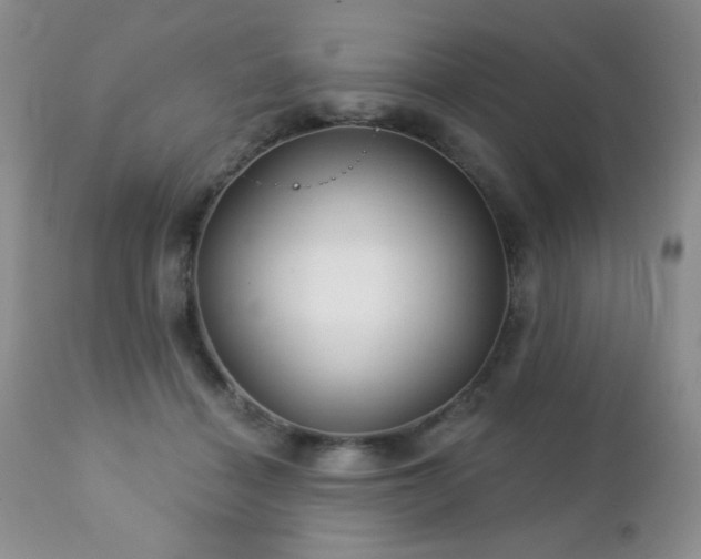 X0000112460460200908171207