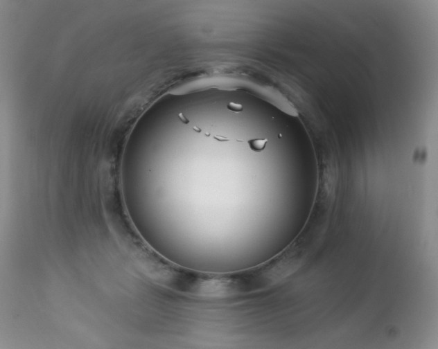 X0000112460461200908171207