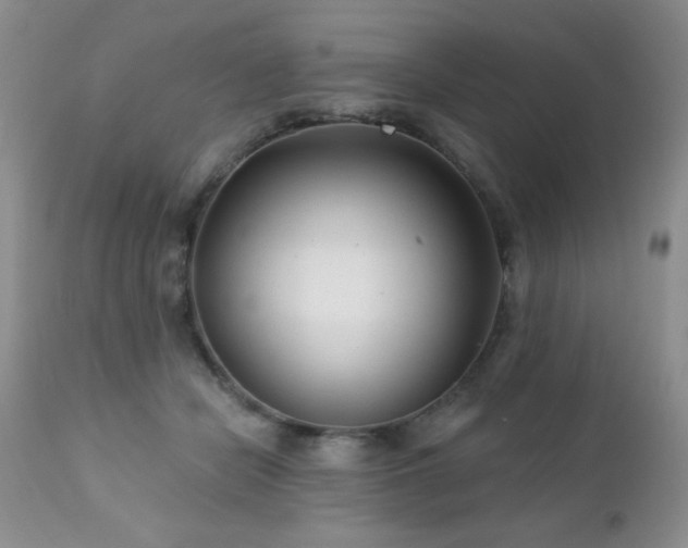 X0000112460462200908171207