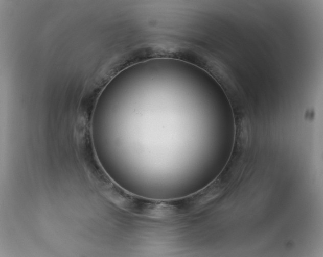 X0000112460463200908171207