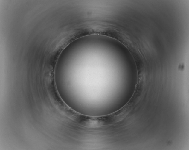 X0000112460464200908171207