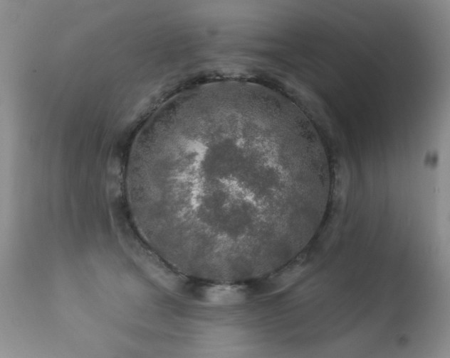X0000112460465200908171207