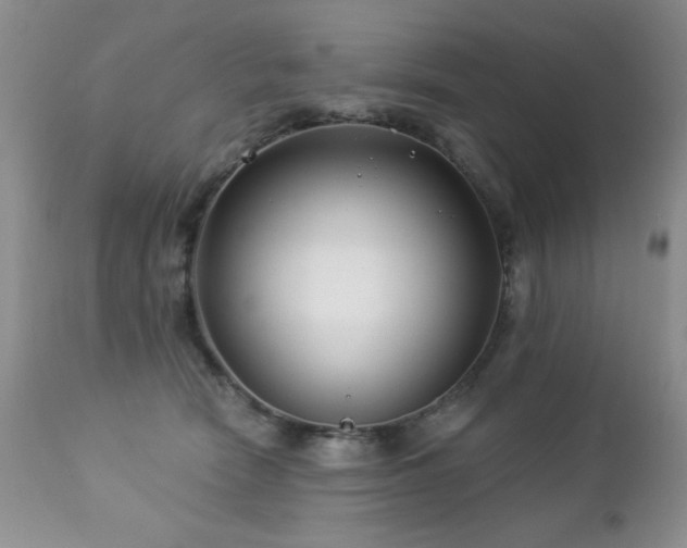 X0000112460466200908171207