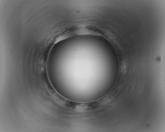 X0000112460470200908171207