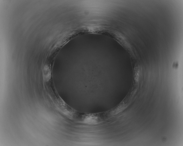 X0000112460471200908171207
