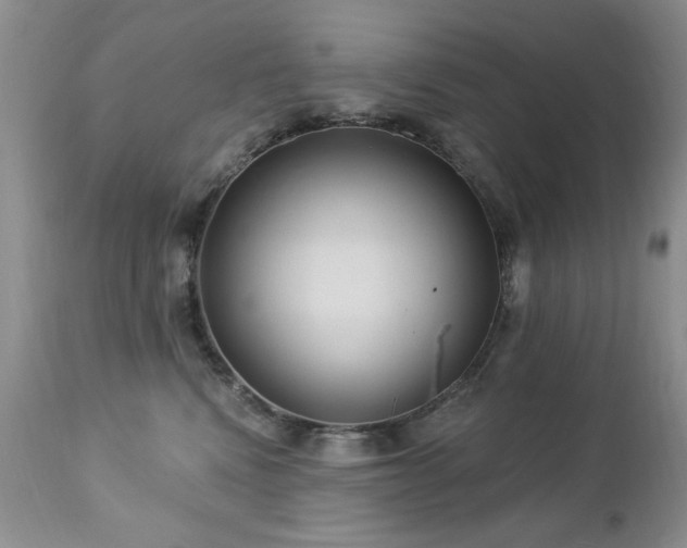X0000112460472200908171207