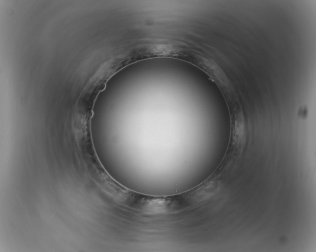 X0000112460473200908171207