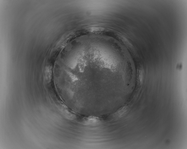 X0000112460475200908171207