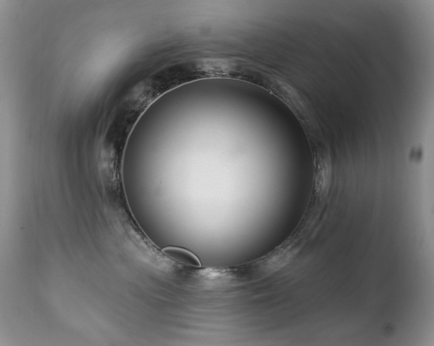 X0000112460477200908171207