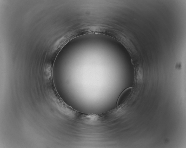 X0000112460478200908171207