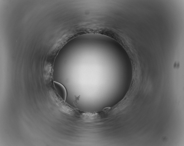 X0000112460480200908171207