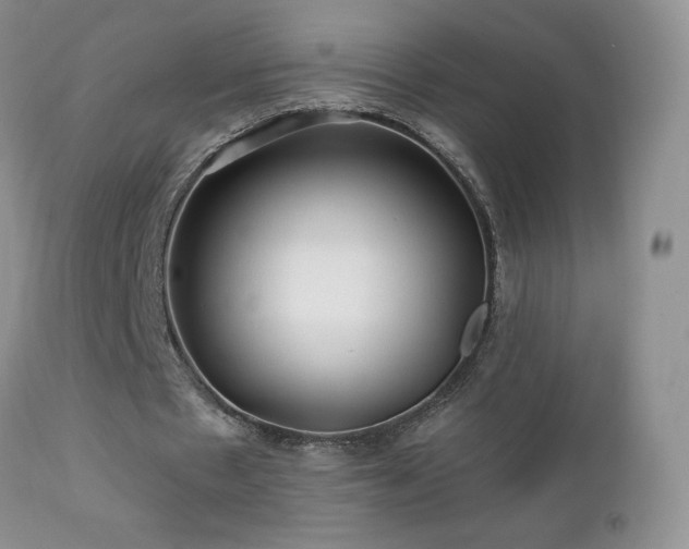 X0000112460481200908171206
