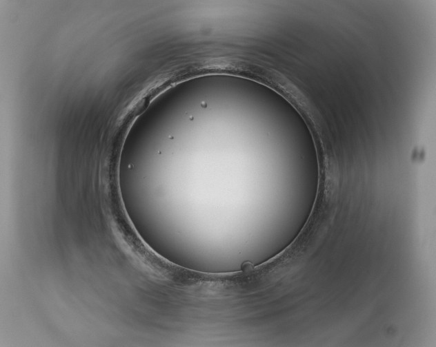 X0000112460482200908171206