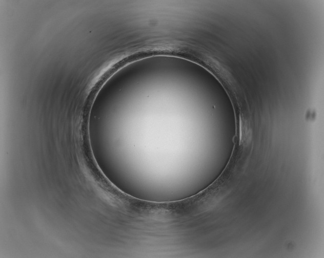 X0000112460483200908171206