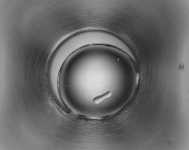X0000112460484200908171206