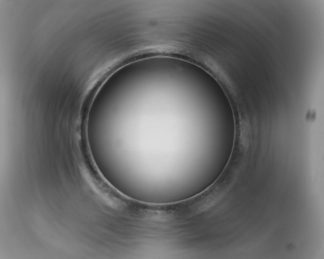 X0000112460486200908171206