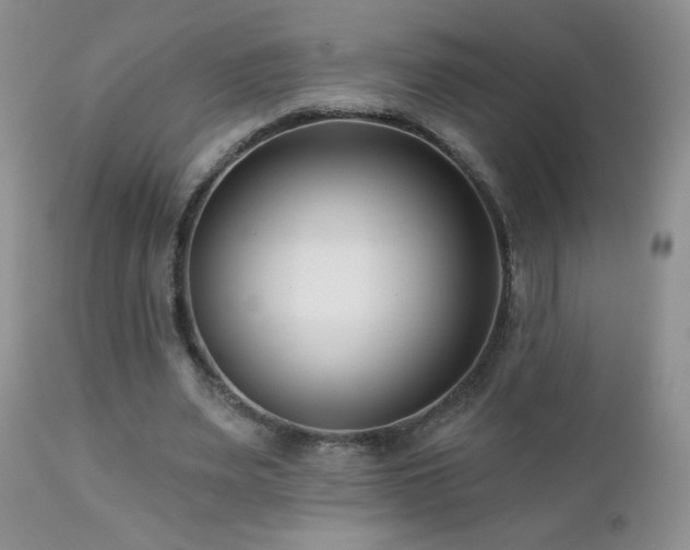 X0000112460487200908171206
