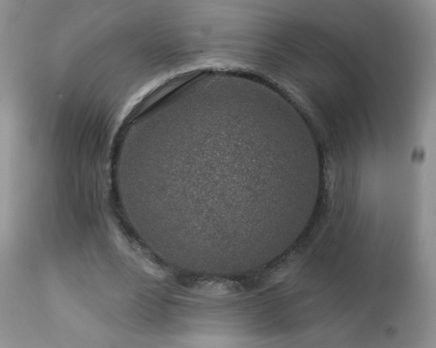 X0000112460488200908171206