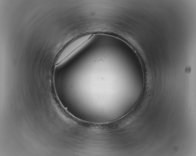 X0000112460489200908171206