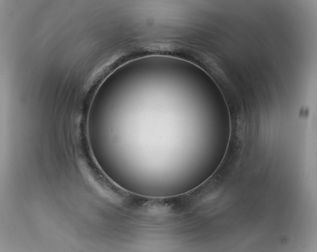 X0000112460491200908171206