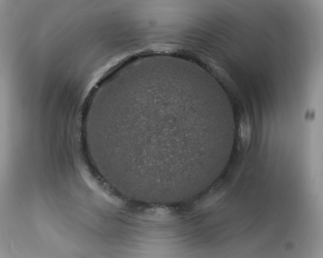 X0000112460492200908171206