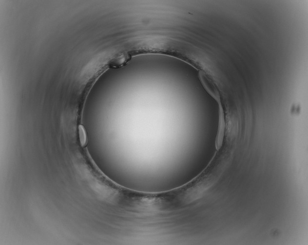 X0000112460493200908171206