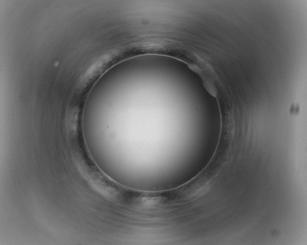 X0000112460495200908171206