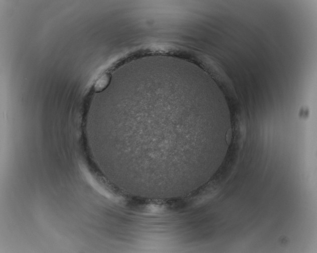 X0000112460496200908171206