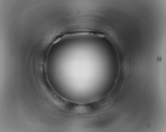 X0000112460499200908171206