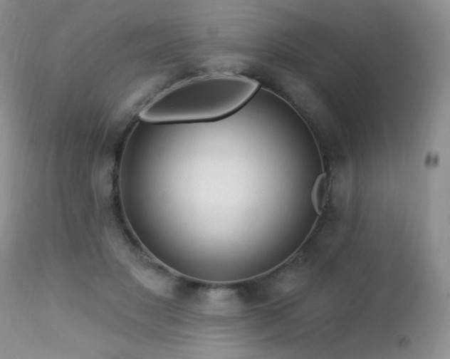 X0000112460501200908171206