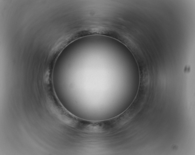 X0000112460502200908171206
