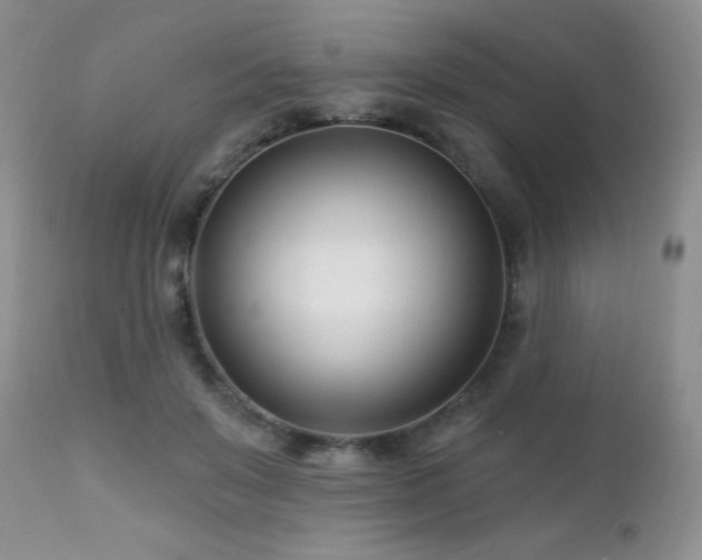 X0000112460503200908171206