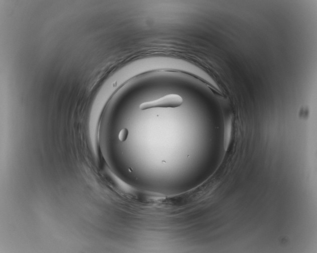 X0000112460504200908171206