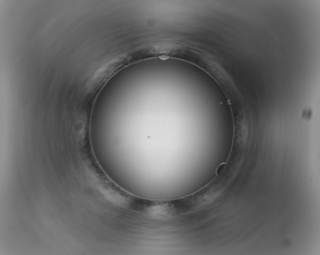 X0000112460505200908171206
