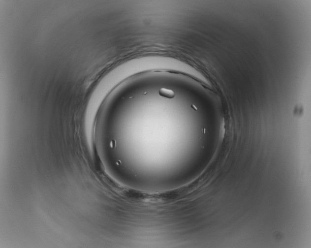 X0000112460508200908171206