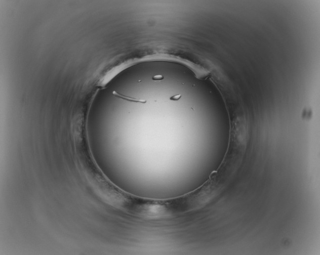X0000112460509200908171206