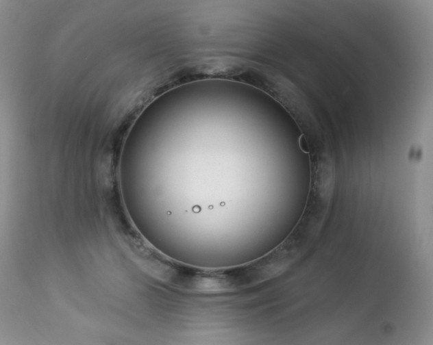 X0000112460510200908171206