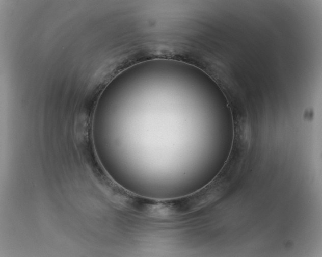 X0000112460511200908171206