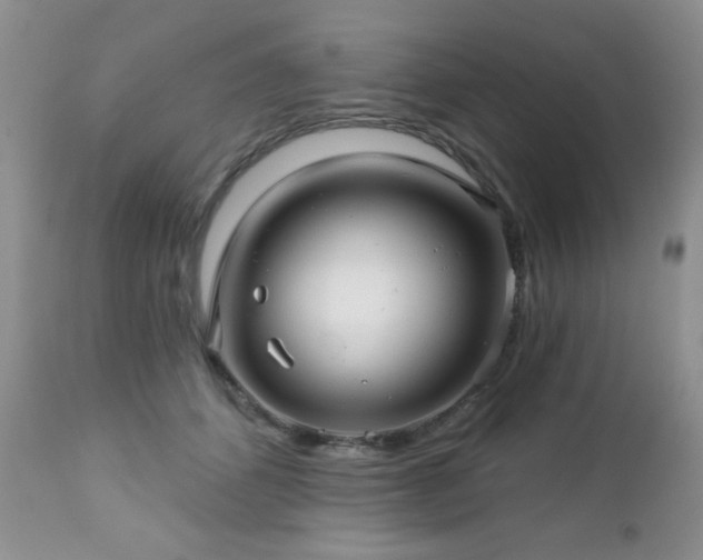 X0000112460512200908171206