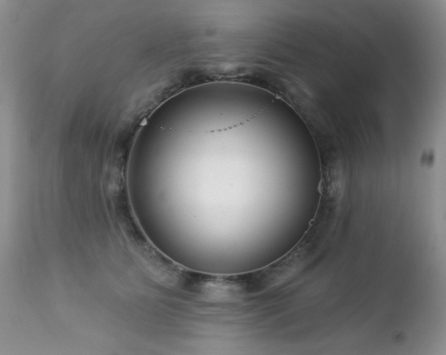 X0000112460515200908171206