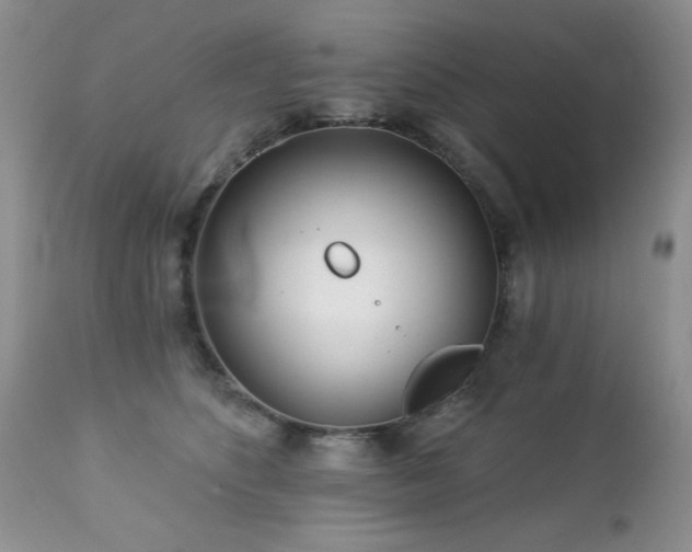 X0000112460516200908171206