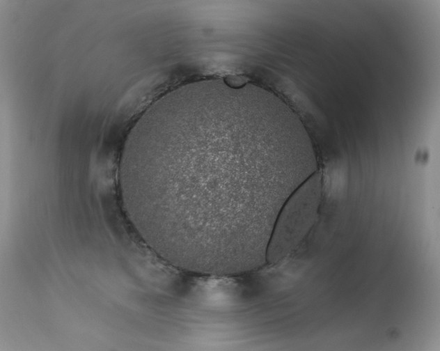 X0000112460517200908171206