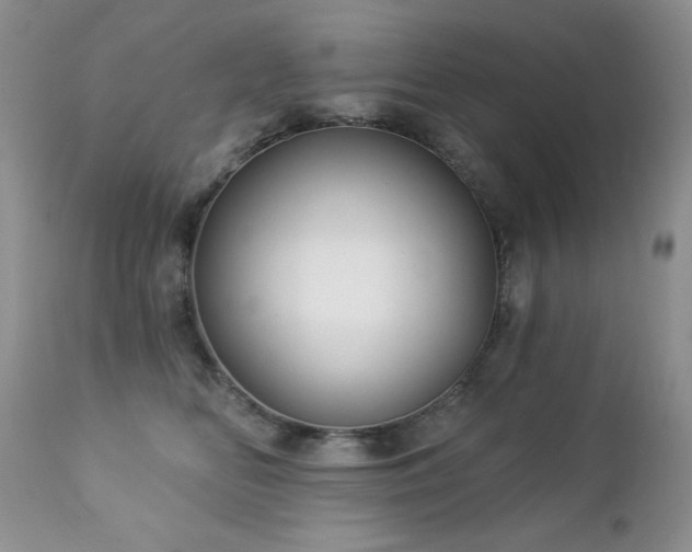 X0000112460518200908171206