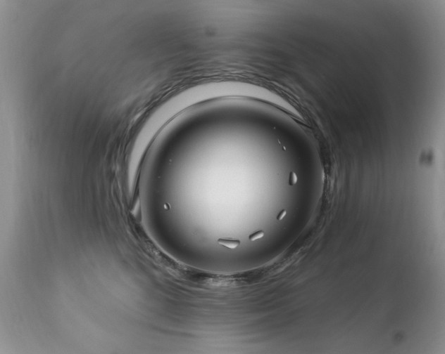X0000112460520200908171206
