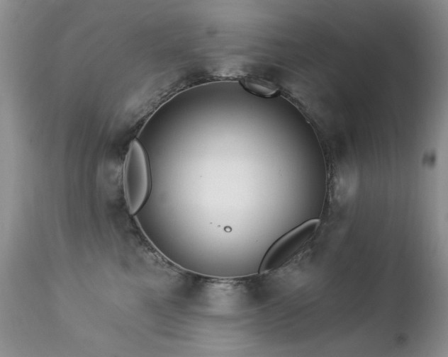 X0000112460521200908171206