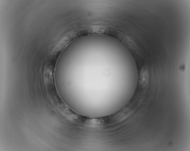 X0000112460522200908171206