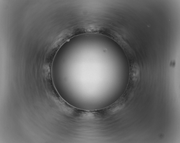 X0000112460523200908171206