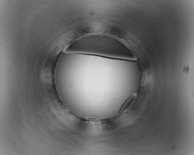 X0000112460524200908171206