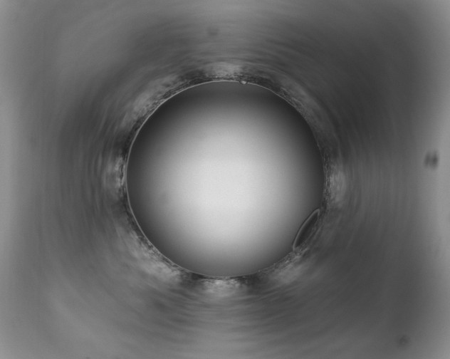 X0000112460525200908171206